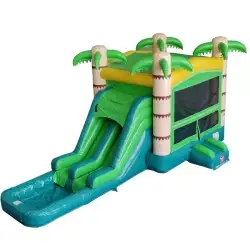 Palm Tree Dry Combo